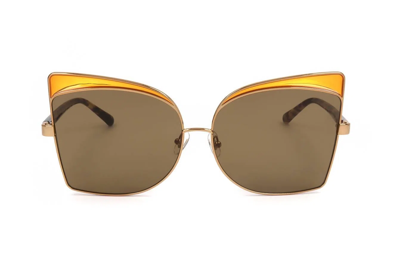 No 21 by Linda Farrow N21S5 Sunglasses - view 5